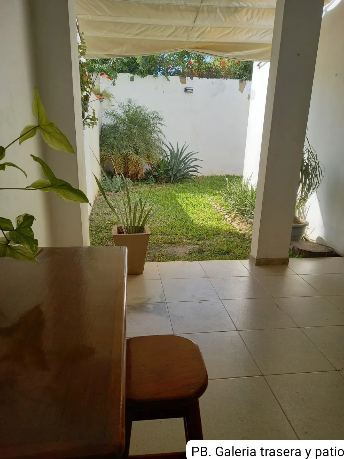 Foto 6